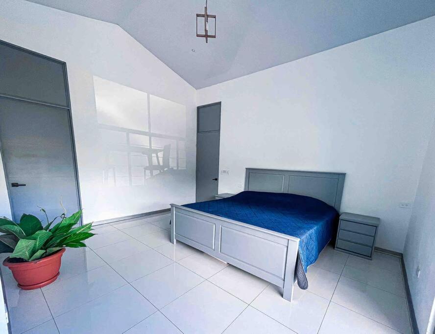 فيلا Hector House أوفيتا المظهر الخارجي الصورة